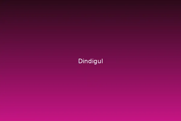 Dindigul call girls premium escort service