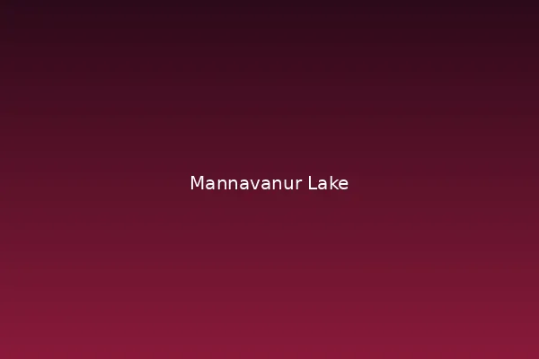 Mannavanur Lake escort service booking guide